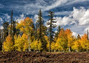 Aspens 17-1758